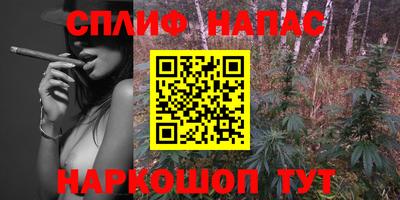 спиды Краснодар