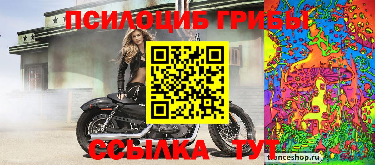 Красногорск  Галлюциногенные грибы мицелий  Вход с VPN 